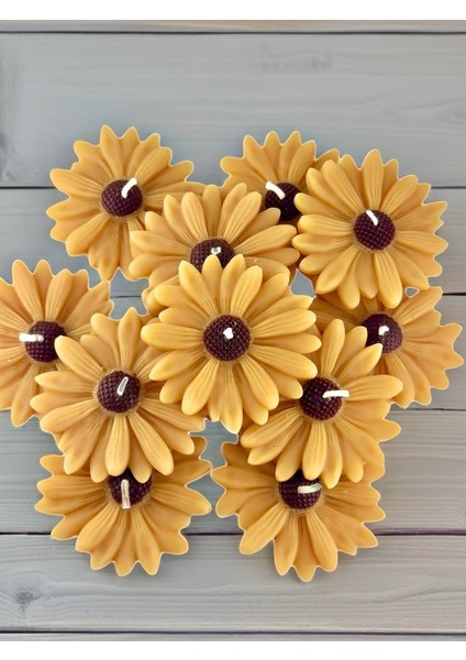 Papatya Şekilli El Yapımı Mum – Hediyelik, Nikah, Söz, Nişan, Düğün, Kına, Bride To Be, Özel Günler Için Mum Seti (12/24 Adet) fiyatları