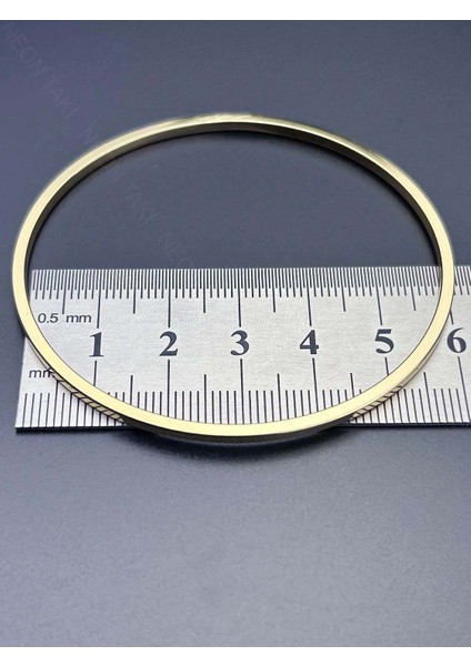 Ajda Bilezik, 3adet, Paslanmaz Çelik Charm Taşıyıcı Bileklik 163, Çap 60mm, Altın Renk fırsatları