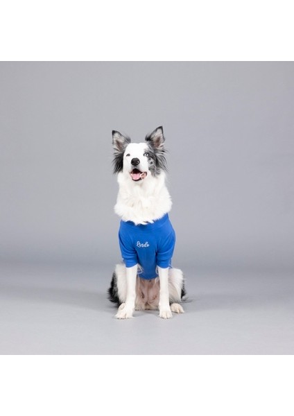 Flex On The Clouds Küçük ve Orta Irk Köpek Tshirt Beden 2 fiyatları