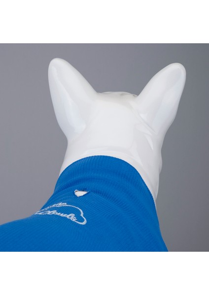 Flex On The Clouds Küçük ve Orta Irk Köpek Tshirt Beden 2 modelleri