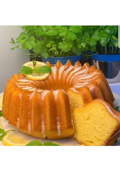 Kek Unu 2 Kg fırsatları