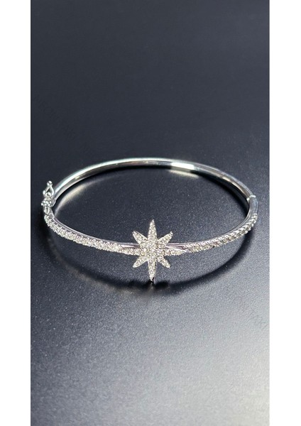 Zirkon Taşlı, Kutup Yıldızı, Platinyum Kap. Çelik Bileklik 176, Gümüş Renk