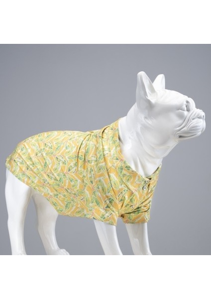 Cool Lime Küçük ve Orta Irk Köpek Gömleği Beden 6
