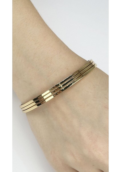 Ajda Bileklik, 3adet, Paslanmaz Çelik Charm Taşıyıcı Bileklik 164, Çap 65mm, Altın Renk fiyatları