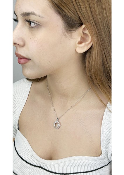 Zirkon Taşlı, Ay Yıldızlı, Paslanmaz Çelik Kolye 402, Gümüş Renk fiyatları