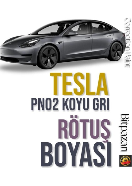 Tesla - Lunar Silver - Ayışığı Gümüş PN02 - Çizik Taş Izi Giderici Rötüş Boyası 20ML