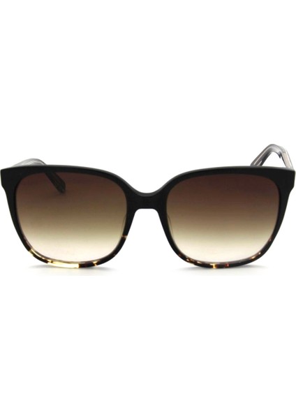 Ck 21707S C033 Kadın Güneş Gözlüğü fiyatları