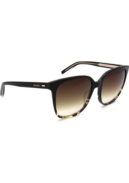 Ck 21707S C033 Kadın Güneş Gözlüğü modelleri