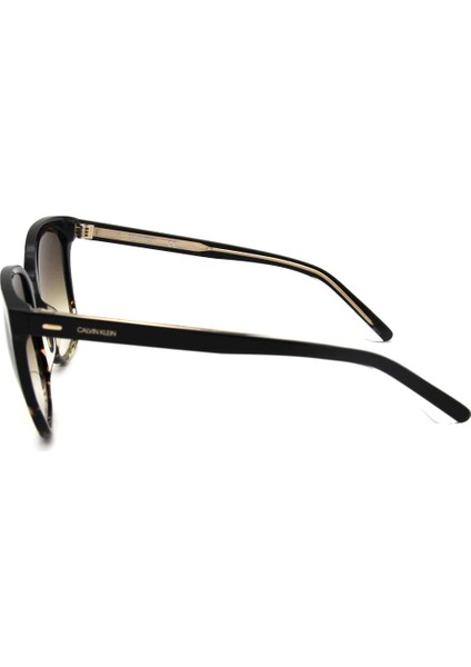 Ck 21707S C033 Kadın Güneş Gözlüğü fırsatları
