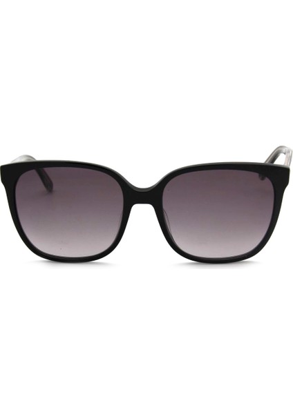 Ck 21707S C001 Kadın Güneş Gözlüğü fiyatları