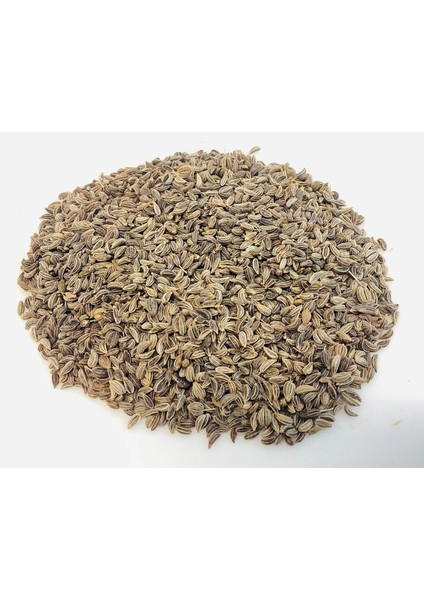 Maydanoz Tohumu D'giant Italiana Çeşidi (İri Yapraklı), 1 Gram