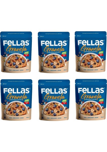 Granola - Yaban Mersini & Kuruyemiş 200 gr x 6 Adet