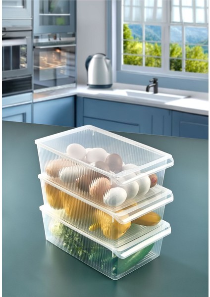 3 Adet Kapaklı Dolap Içi Buzdolabı Düzenleyici 6 Litre