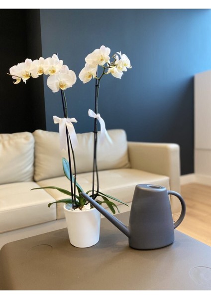 Eliteplas Sulak Çiçek Sulama Kabı 1,7 Litre Antrasit Renk Sulakantrasit fiyatları