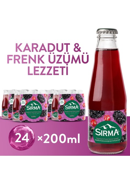 B Vitaminli Karadut & Frenk Üzümü Aromalı Doğal Maden Suyu 200 ml x 24 Adet