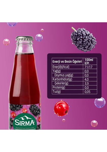 B Vitaminli Karadut & Frenk Üzümü Aromalı Doğal Maden Suyu 200 ml x 24 Adet modelleri