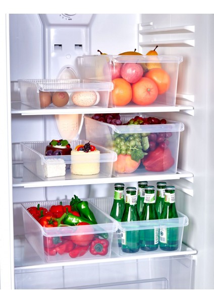 3 Adet Buzdolabı Düzenleyici 4 Litre fırsatları