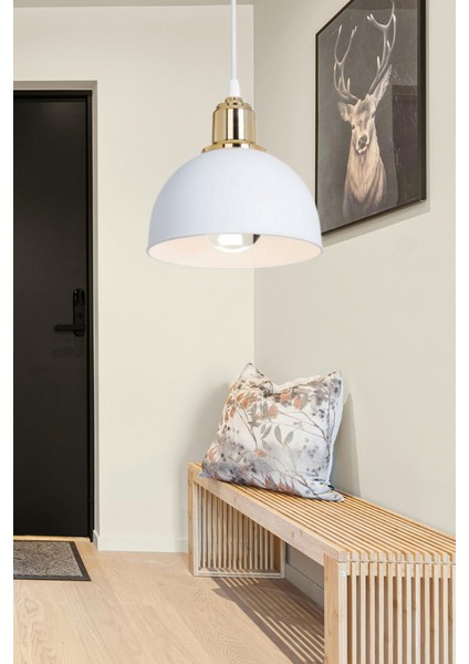 Haus Mini Yarım Küre Gold Kukalı Abs Beyaz Sarkıt Küçük Alanlara Uygun Mutfak Koridor Avize fiyatları