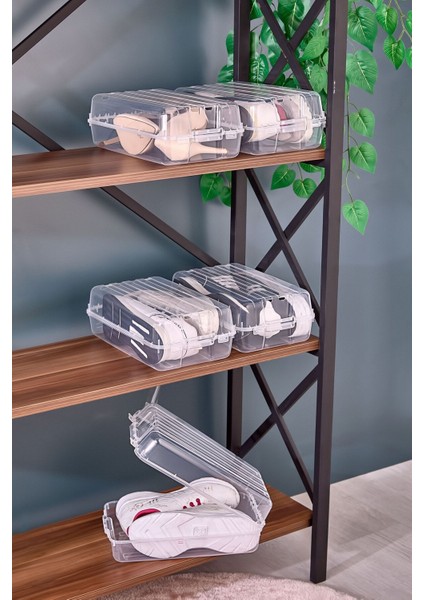 5 Adet Kadın Ayakkabı Kutusu