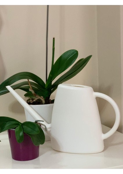 Sulak Çiçek Sulama Kabı 1,7 Litre Beyaz Renk modelleri