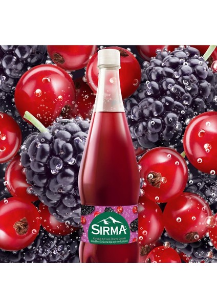 B Vitaminli Karadut & Frenk Üzümü Aromalı Doğal Maden Suyu 1 Lt x 6 Adet fiyatları