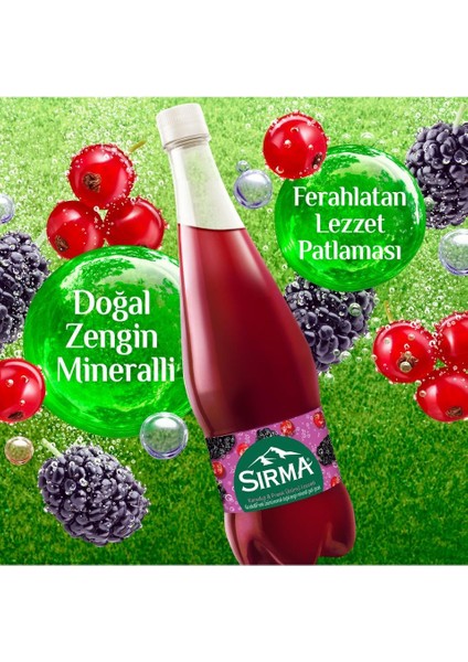 B Vitaminli Karadut & Frenk Üzümü Aromalı Doğal Maden Suyu 1 Lt x 6 Adet modelleri