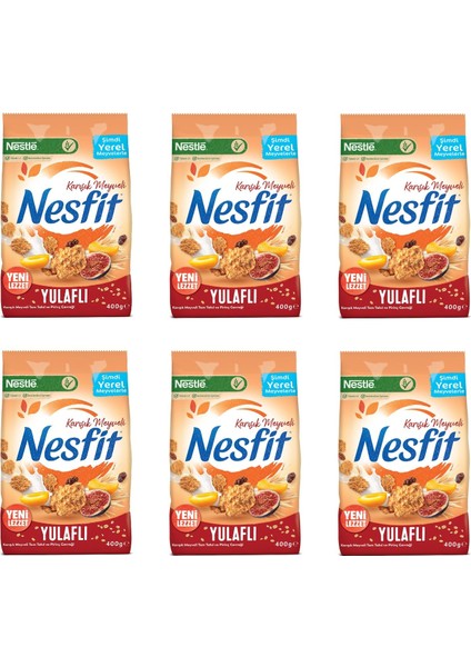 Nesfit Karışık Meyveli 400 gr x 6 Adet