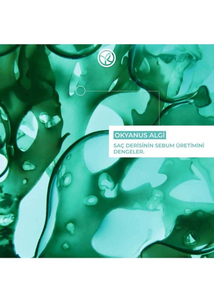 Pure Detox Arındırıcı Şampuan 300 ml modelleri