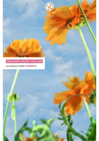 Saçları Derinlemesine Besleyici Yumuşaklık ve Parlaklık Veren Katı Tuzsuz ŞAMPUAN-60GR modelleri