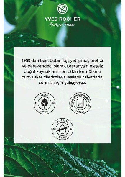 Arındırıcı Katı Şampuan