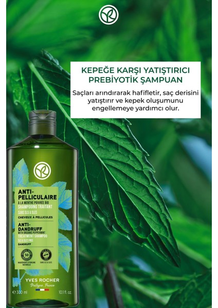 Kepeğe Karşı Yatıştırıcı Yeni Kepek Oluşumunu Engelleyici Tuzsuz Şampuan ELEG.2749 fiyatları