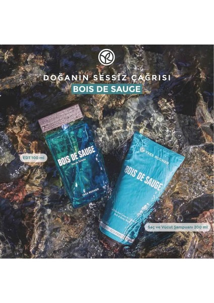 Bois De Sauge Saç ve Vücut Şampuanı Odunsu Aromatik ve Ferah modelleri