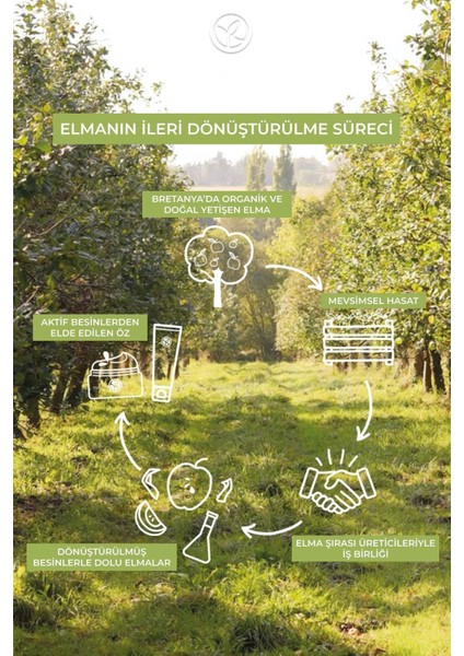 Hoş Kokulu Ciltlerin Bariyerini Güçlen,nazikçe Temizleyici,nemlendirici Saç ve Vücut Şampuanı indirimleri