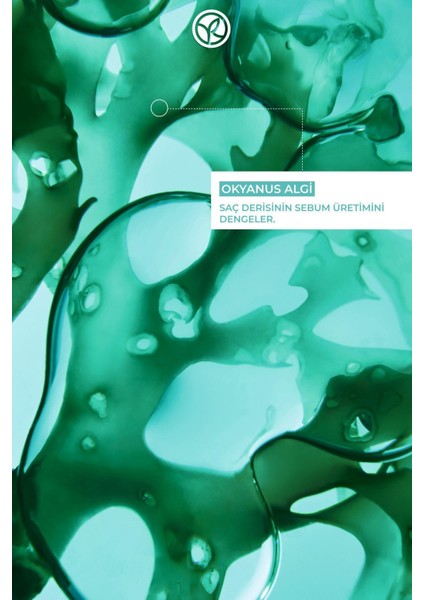 Yağlı Saç Tipleri İçin Özel Formüle Edilmiş Arındırıcı Kuru Şampuan 150 ml modelleri