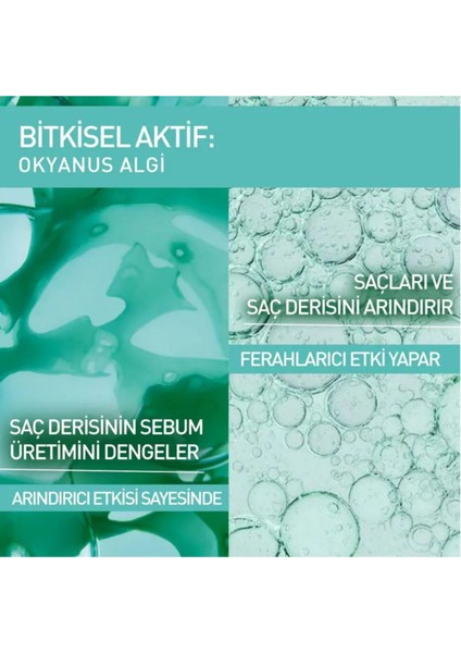 Pure Detox Detoks Etkili Sülfatsız Şampuan Yağlı Saçlar İçin Arındırıcı Şampuan 300 ml indirimleri