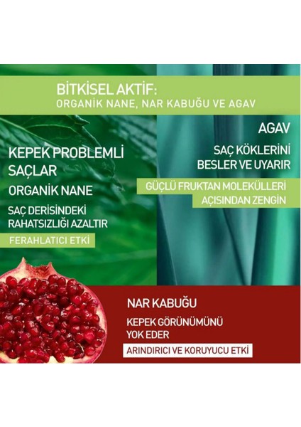 Prebiyotik Şampuan Kepeğe Karşı Anti Pelliculaire Nar Kabuğu, Organik Nane ve Agav 300 ml fırsatları