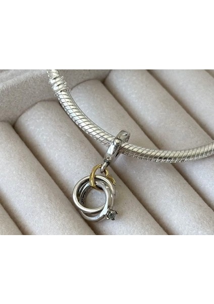 Iki Renkli Çift Alyanslı Zarif 925 Ayar Gümüş Charm fiyatları