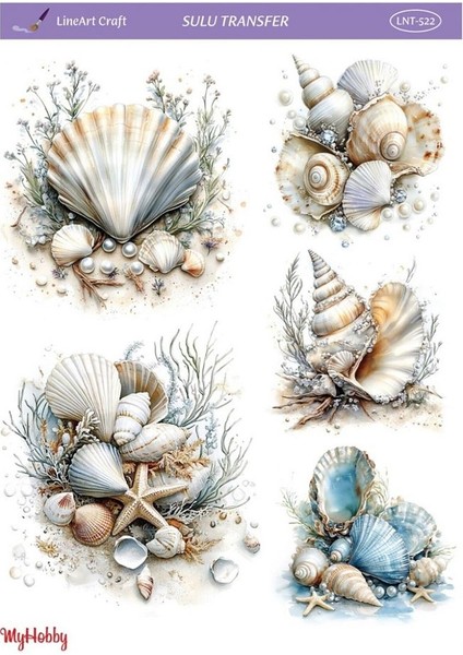 LNT522 Marine Desen, Deniz Kabukları, Istiridyeler Açık Zemin Sulu Transfer 25*35 cm