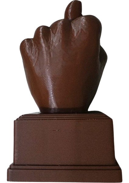 Nah Ödülü Yılın En Çok Nah Çekeni modelleri