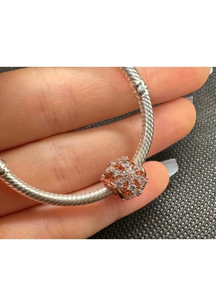 Işıltılı Herbaryum Yuvarlak Charm Rose Renk Zirkon Taşlı 925 Ayar Gümüş fırsatları