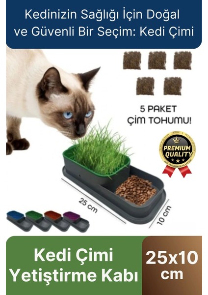 Premium Seri Hidroponik Topraksız Doğal 5 Adet Tohum Hediyeli Kedi Çimi Yetiştirme Kabı 25 x 10 cm