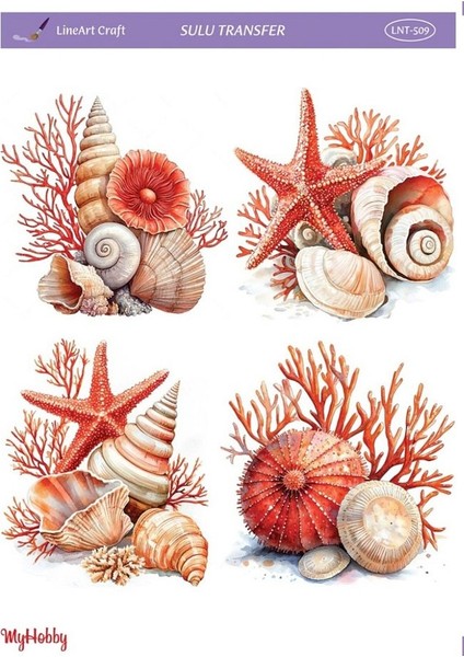LNT509 Marine Desen, Deniz Kabukları, Mercan Açık Zemin Sulu Transfer 25*35 cm
