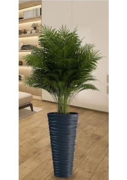 So-Kvt3 Kumsal Vazo Saksı Takımı 128 Litre Antrasit 3 Adet indirimleri