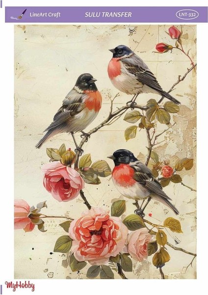 LNT332 Sulu Transfer 25 * 35 cm