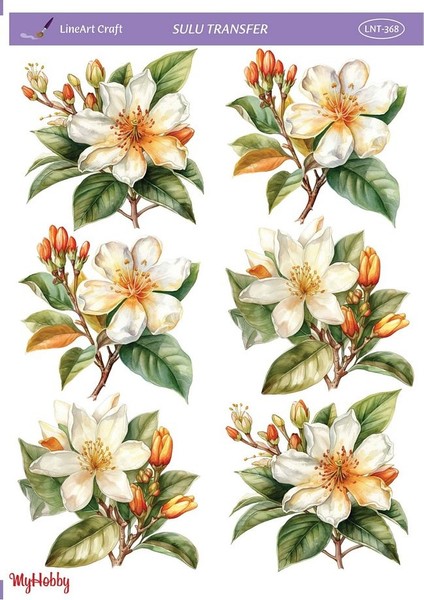 Lnt 368 Manolya, Çiçek Desenli Açık Zemin Sulu Transfer 25*35 cm