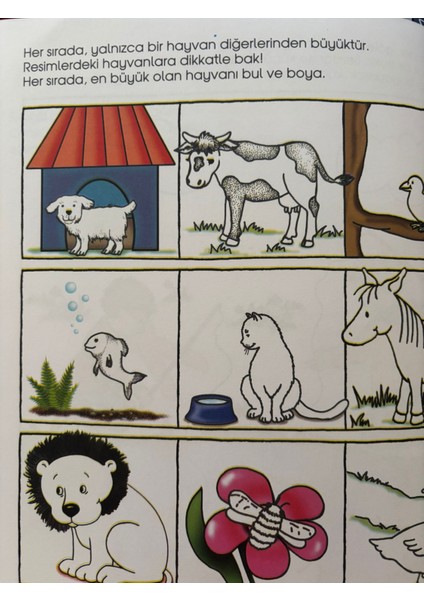 Okul Öncesi Zıt Kavramlar Kitabım 1 fiyatları