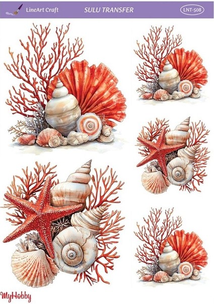LNT508 Marine Desen, Deniz Kabukları, Mercan Açık Zemin Sulu Transfer 25*35 cm