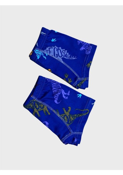 Erkek Çocuk %100 Pamuklu Lacivert Dinozor Desenli 2 Li Boxer