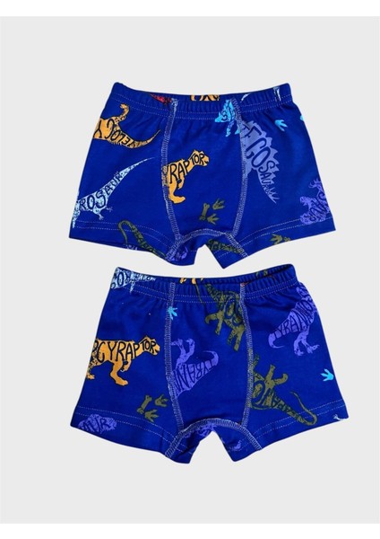 Erkek Çocuk %100 Pamuklu Lacivert Dinozor Desenli 2 Li Boxer fiyatları