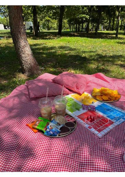 Çantalı Piknik Seti fırsatları